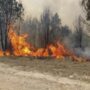 Incendio cerca del Parque Nacional Calilegua