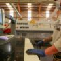 Modificaciones en el Repro: Trabajo habilita visitas de evaluación a las empresas