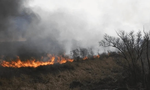 El Litoral sigue ardiendo mientras la Ley de Humedales duerme