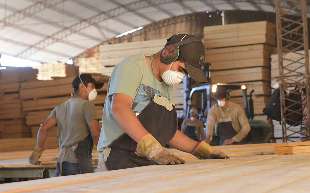 Madereros acordaron un nuevo aumento salarial y alcanzarán un 88% anual