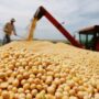 Sectores ambientalistas cuestionan que La Rioja quiera cultivar soja y trigo transgénico