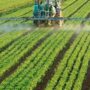 Piden juicio a productores de Pergamino por contaminación
