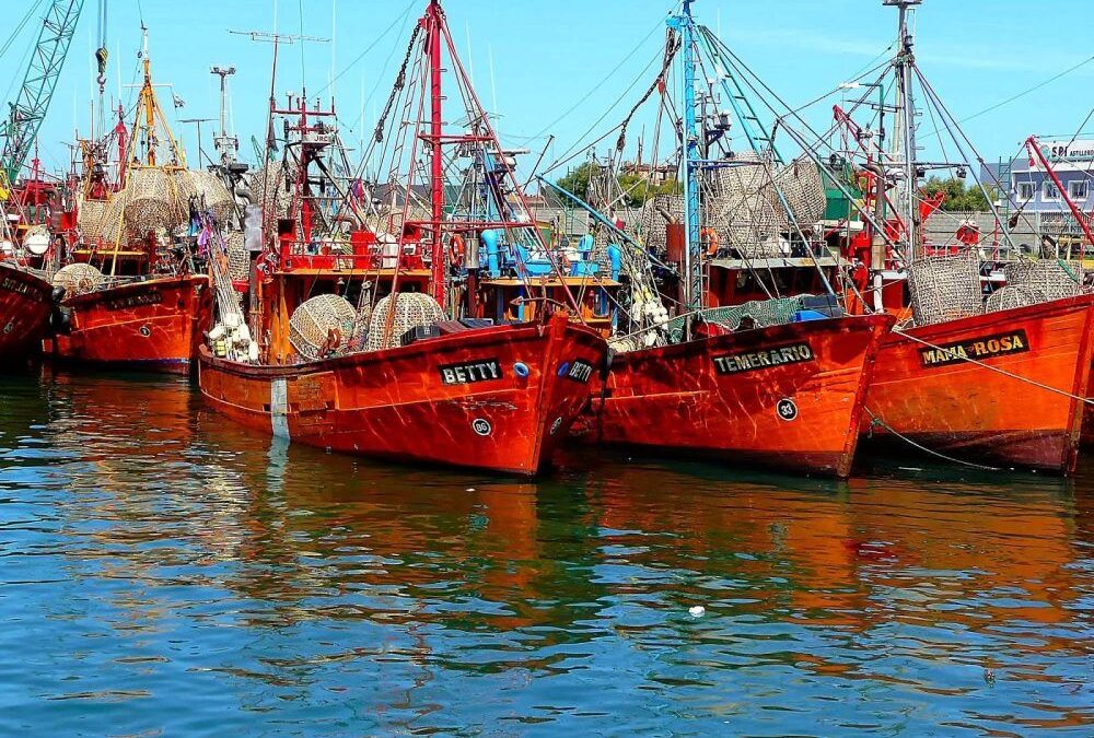 Capitanes de Pesca paró la actividad por 48 hs. en el Puerto de Mar del Plata