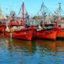 Capitanes de Pesca paró la actividad por 48 hs. en el Puerto de Mar del Plata
