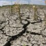Argentina bajo sequía por tercer año consecutivo