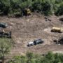 El bosque primario ha sido devastado en 20 años