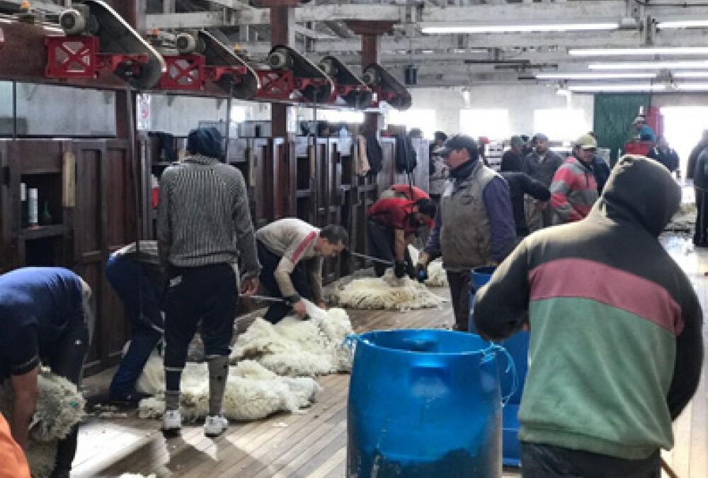 Aumentan las prestaciones por desempleo hasta un 20% para trabajadores rural de zonas desfavorables