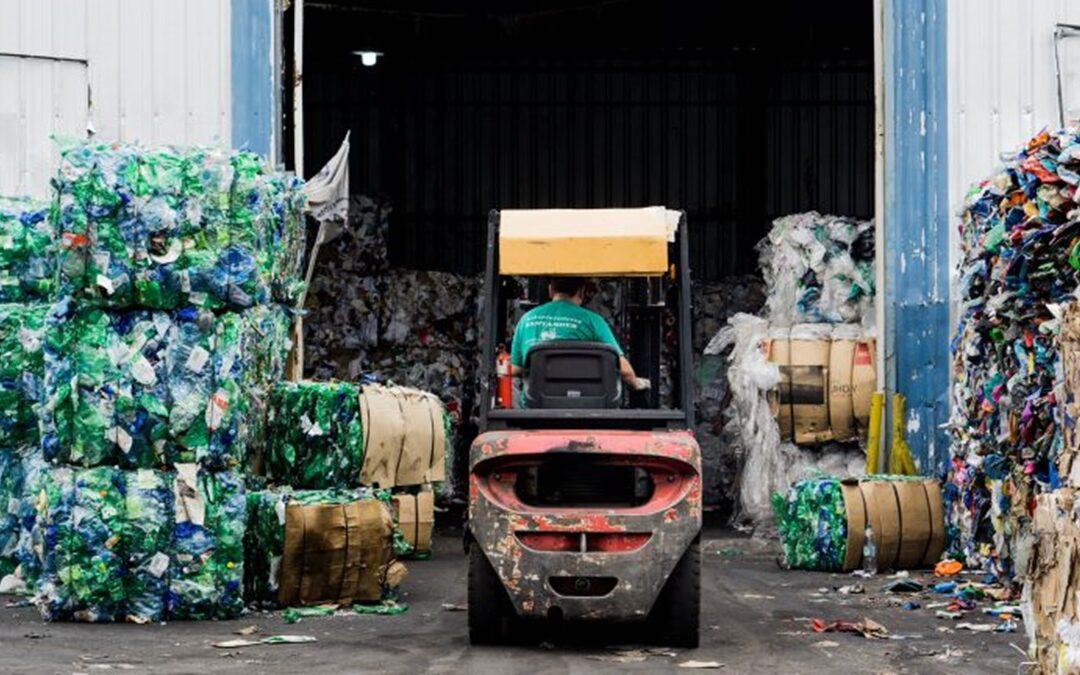 La industria del reciclaje: trabajo, salud y negocio