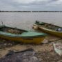 Encuentran dos salmones en el Paraná, preocupante