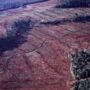 Misiones: denuncian desmontes y monocultivo de pinos