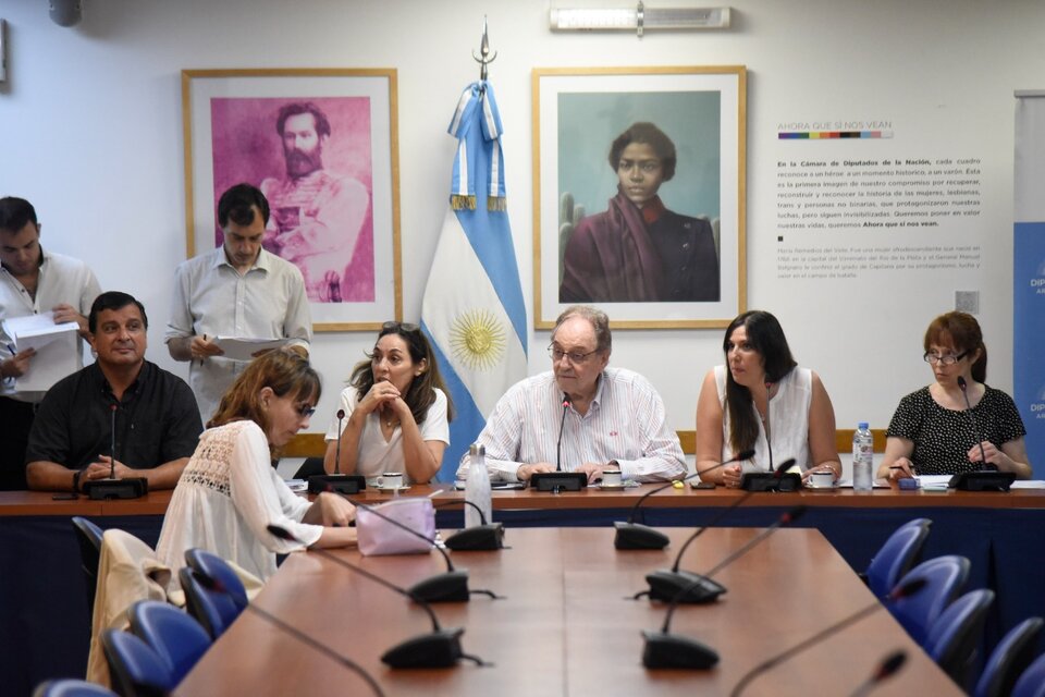 Moratoria jubilatoria: Cada vez más cerca la sanción de la ley en Diputados