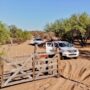 San Juan: nación auditó el manero de bosques
