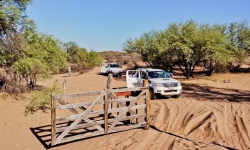 San Juan: nación auditó el manero de bosques