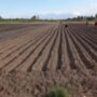 Mendoza: productores usan agroquímicos peligrosos