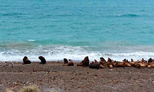 Conicet trabaja en la desalinización de agua de mar