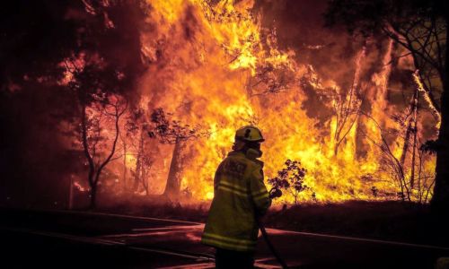 Crean la Unidad de Análisis y Prevención de Delitos Ambientales