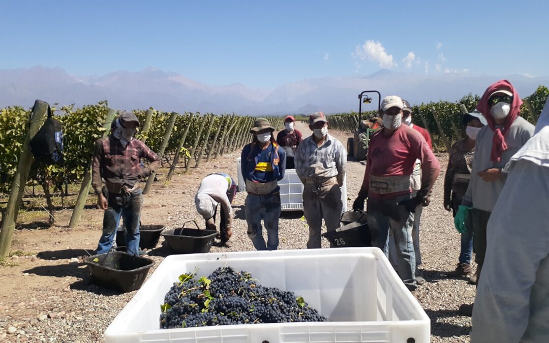 Se acordó la revisión paritaria de los trabajadores vitivinícolas con un aumento anual del 91,86%