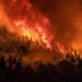 Se duplicaron las hectáreas incendiadas en el 2022