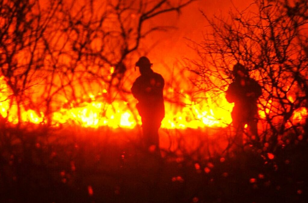 Brigadistas forestales de Santa Cruz continúan con paro por un reclamo salarial