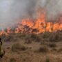 Buenos Aires: implementan guía para el manejo del fuego