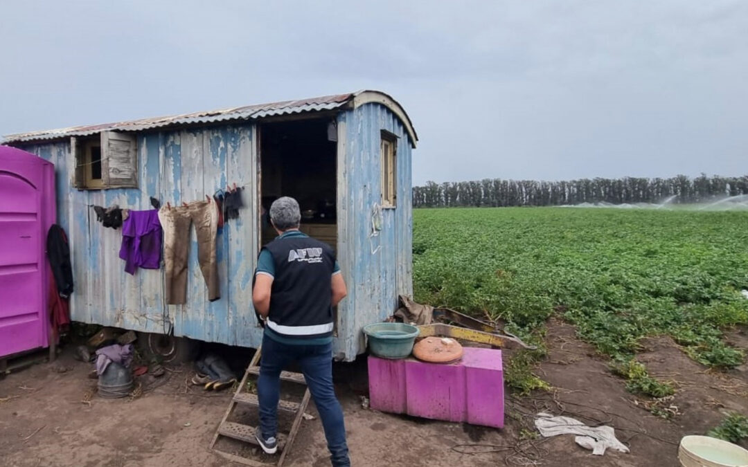 Detectan explotación laboral en campos de papa de la provincia de Buenos Aires