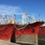 Gremios respaldaron fallo judicial que ratificó explotación hidrocarburífera off shore