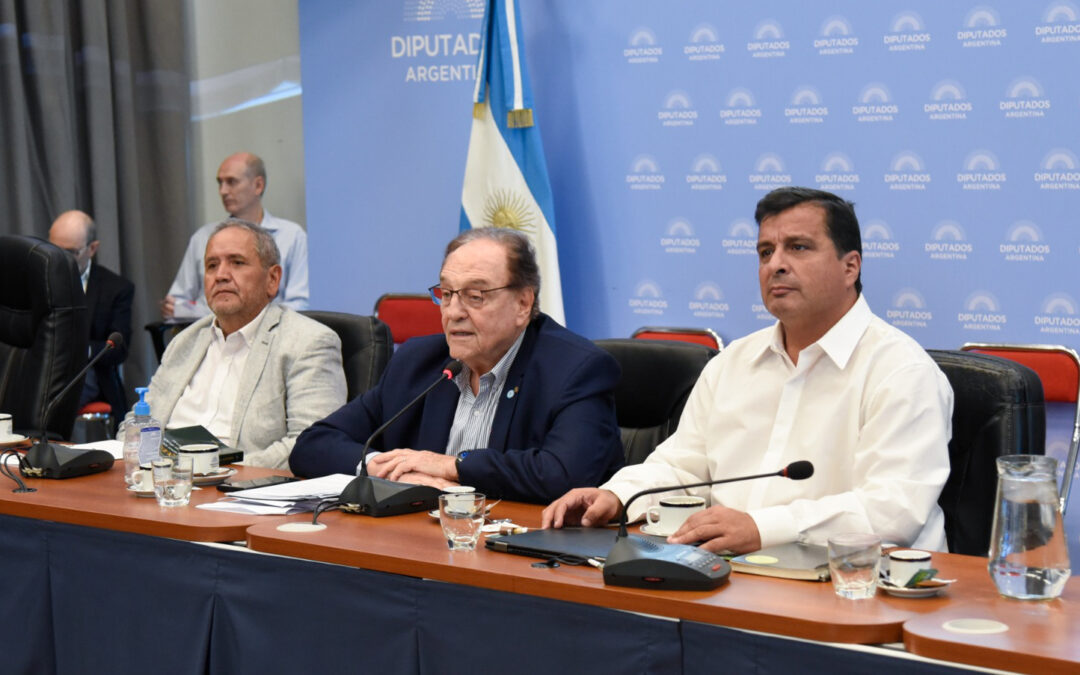 Pese al rechazo opositor, el oficialismo emitió dictamen para el Monotributo Tech que habilita a los informáticos a exportar y facturar hasta 30 mil dólares anuales
