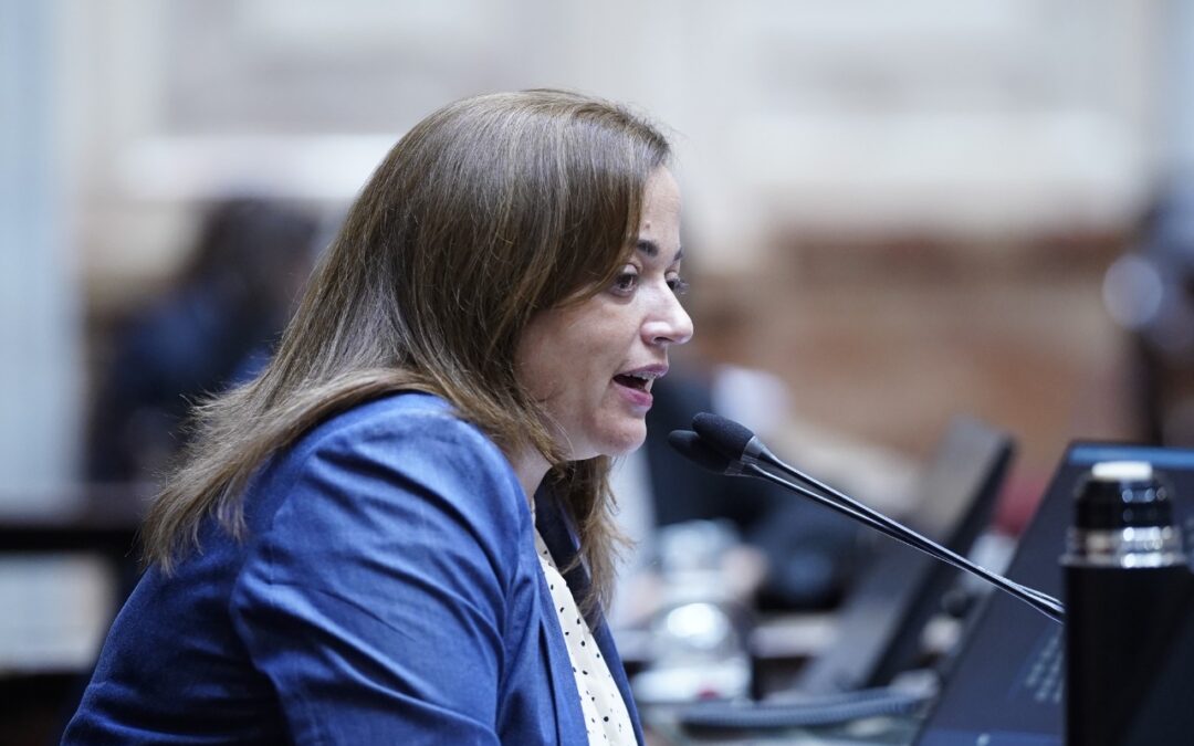 Cecilia Moreau apuntó a la oposición por «no querer debatir temas urgentes» como moratoria previsional y monotech