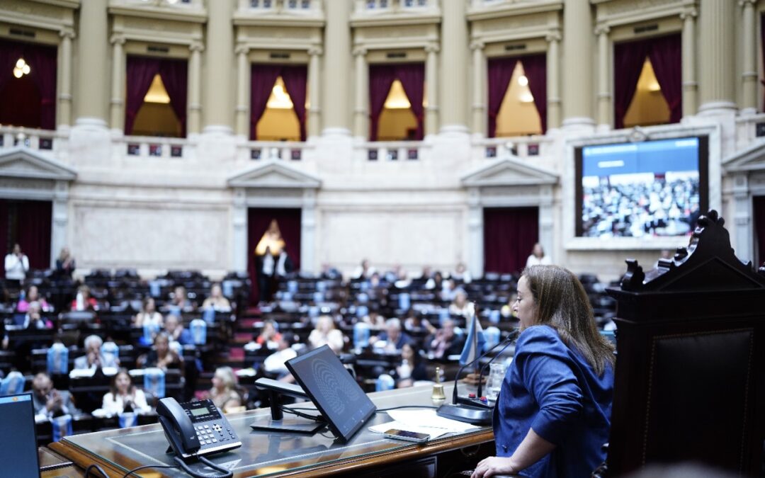 Para Cecilia Moreau «es llamativo que la oposición no quiera debatir temas urgentes como la moratoria previsional y el monotech»