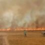 Esteros del Iberá arde hace 50 días