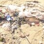 El plástico es el contaminante más abundante en las playas