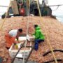 La AFIP detectó un 40% de trabajadores no registrados en empresas pesqueras de Chubut