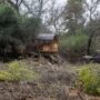 200.000 hectáreas menos de bosques en 2022