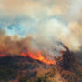 Continúa el incendio forestal en el parque Los Alerces