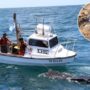 Pruebas satelitales para detectar plásticos en el Mar Argentino