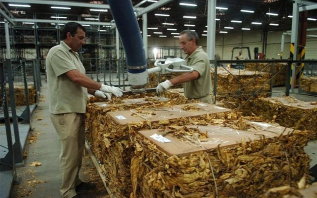 Paritarias cortas: Gremio del tabaco cierra un 20% bimestral y vuelve a negociar en abril