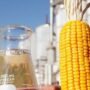 Máximo histórico de producción de etanol en el 2022