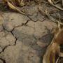 Casi el 60% de Argentina bajo sequía