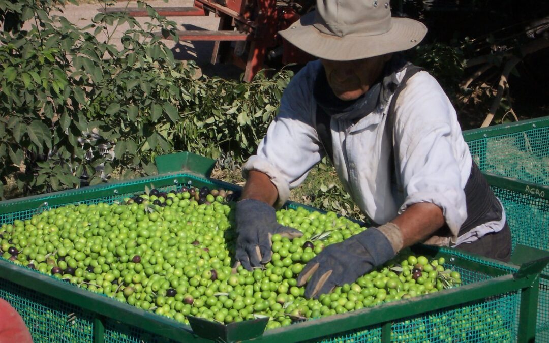 La UATRE acordó un 32% de aumento para el trabajo rural a partir del salario de febrero
