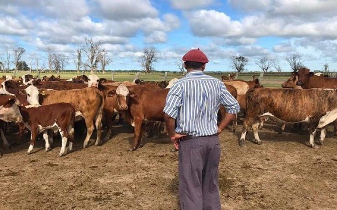La UATRE activó la revisión salarial y acordó un nuevo aumento del 32% para peones rurales