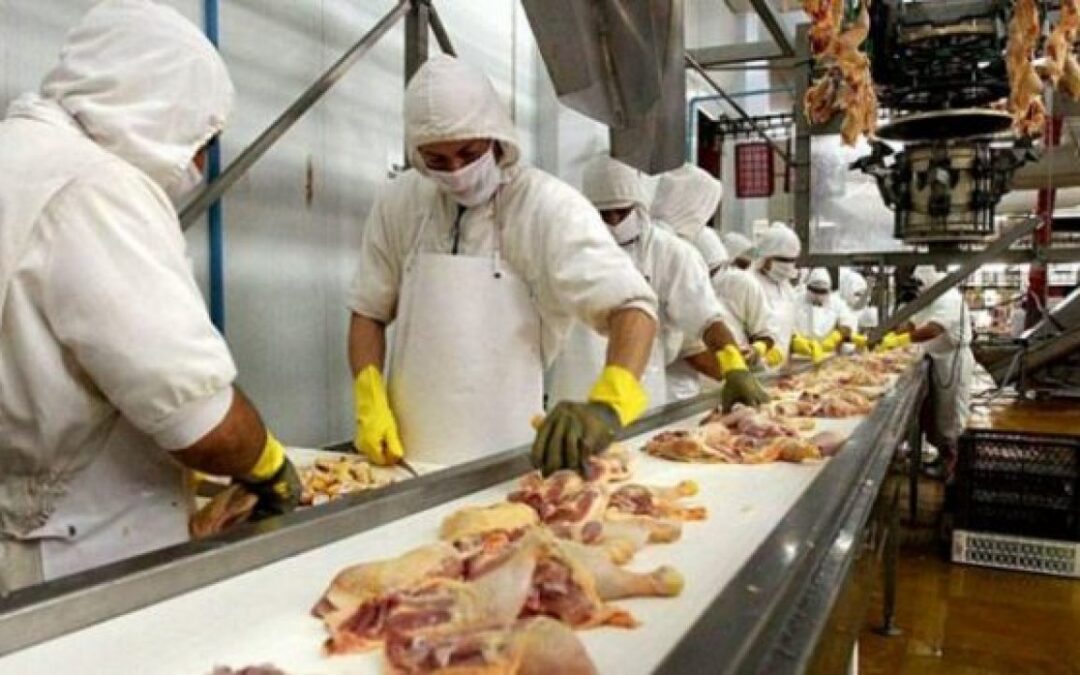 Trabajadores avícolas agregaron un 16% de aumento salarial para llegar al 105% anual