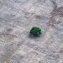 Lo que preocupa del cambio climático AMBA
