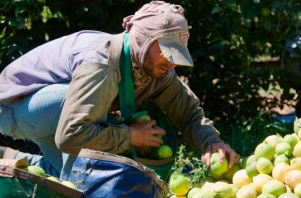 UATRE acordó un 47% de aumento para los trabajadores del citrus y llegó al 102% anual acumulado