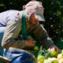 UATRE acordó un 47% de aumento para los trabajadores del citrus y llegó al 102% anual acumulado