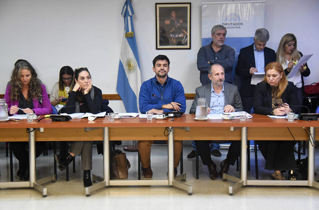 Diputados avanza en el tratamiento del proyecto que regula la actividad del acompañante terapéutico