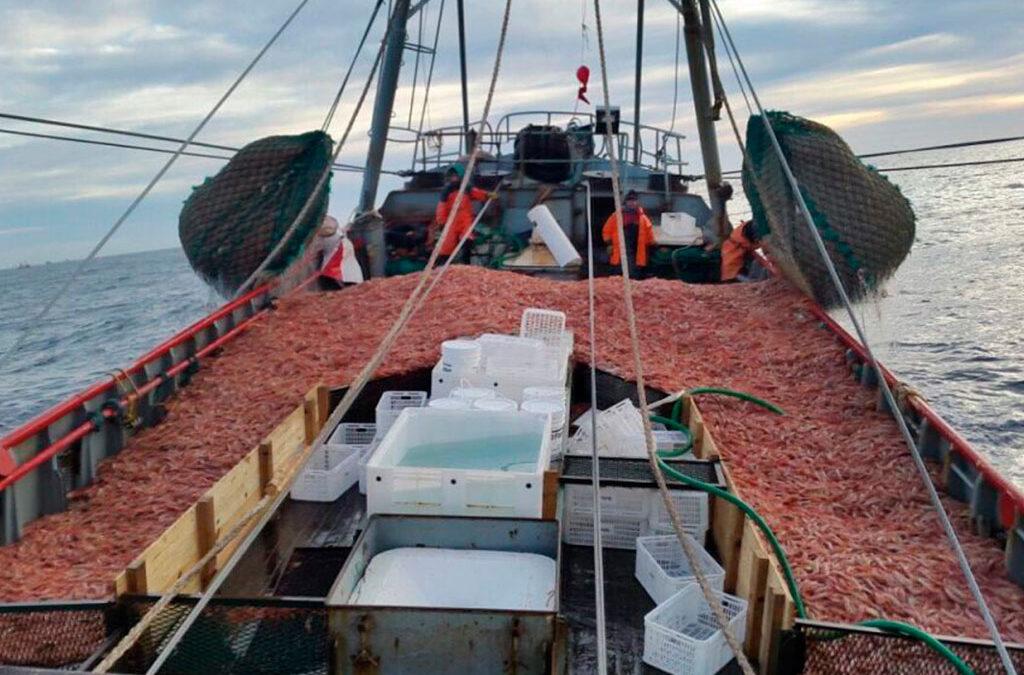 Los gremios pesqueros acordaron en paritarias la liquidación salarial según un dólar a 300 pesos