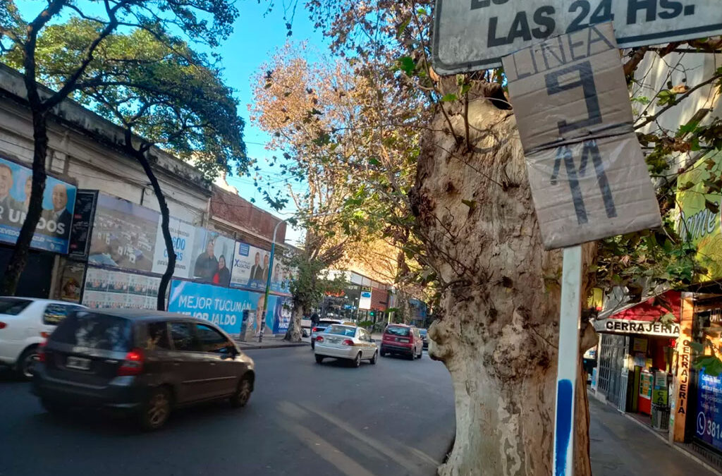 En medio del paro de UTA, empresarios de Tucumán analizan pedir una suba del boleto