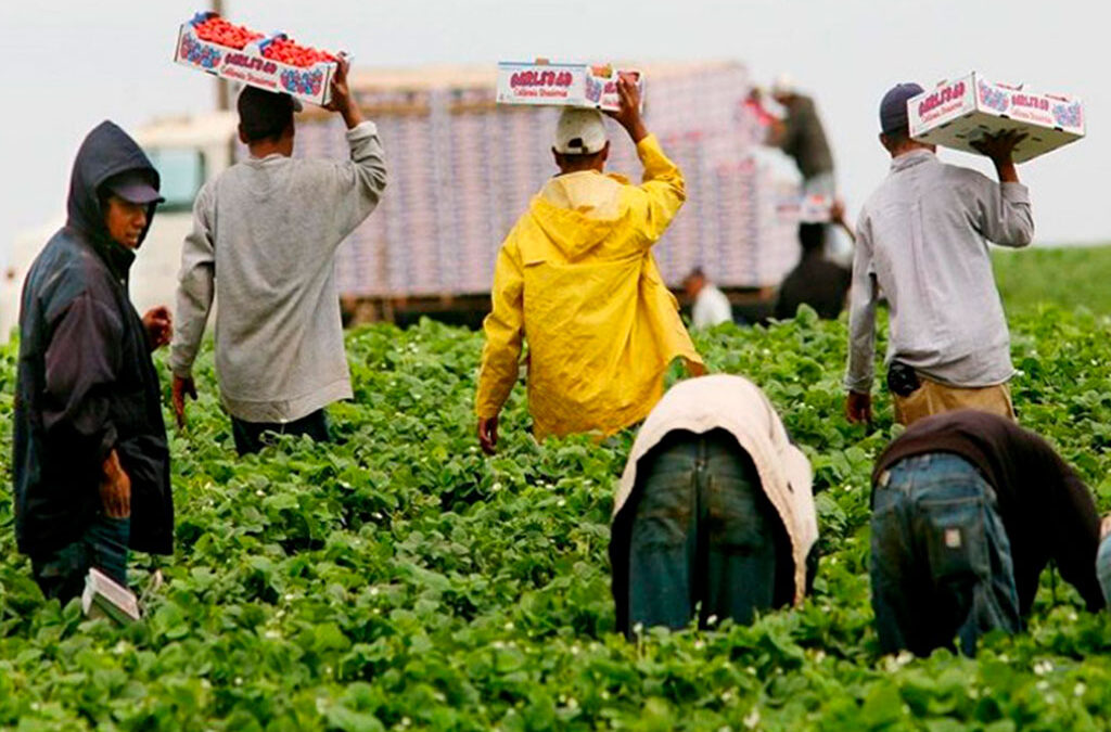 Trabajadores rurales acordaron un aumento salarial y actualización del mínimo y jornal