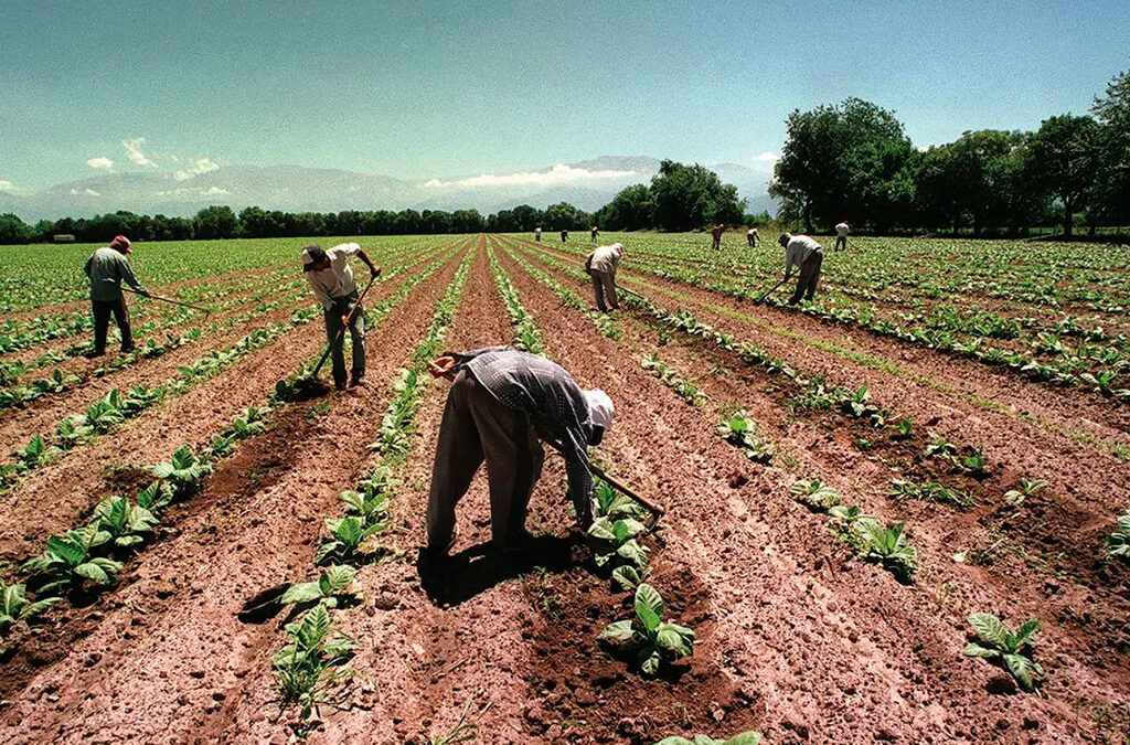 Sociedad Rural, CAME y CONINAGRO piden cambiar la tasa de interés que encarece los juicios laborales