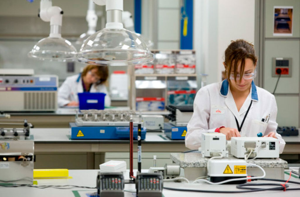 Cuáles son las industrias preferidas por los argentinos para trabajar